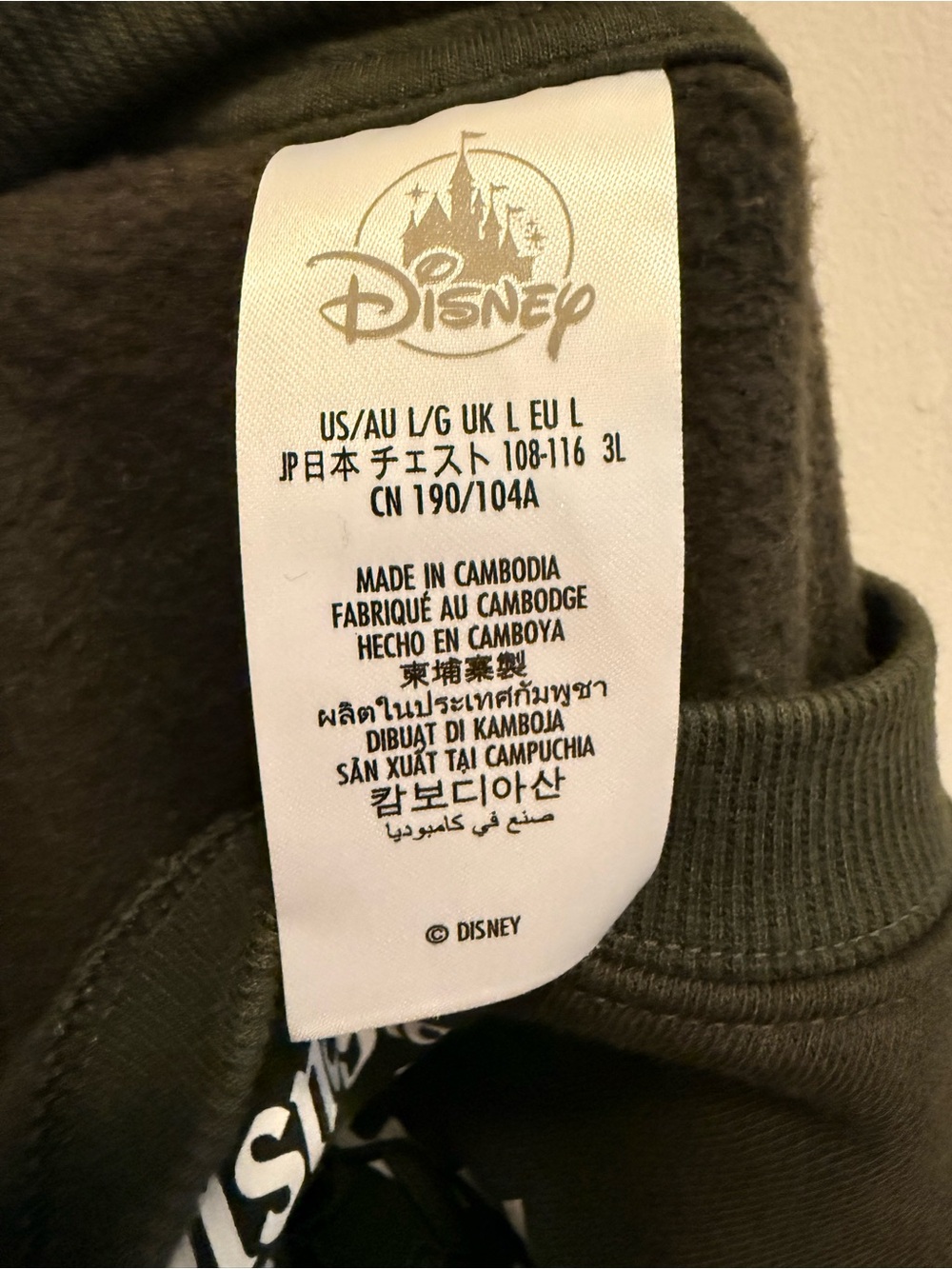 Disneyland Graphic Crew Sweatshirt - Picture 4 of 7